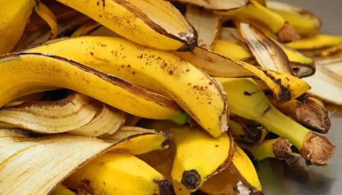 Truques para conservar bananas por mais de 2 semanas e evitar desperdício