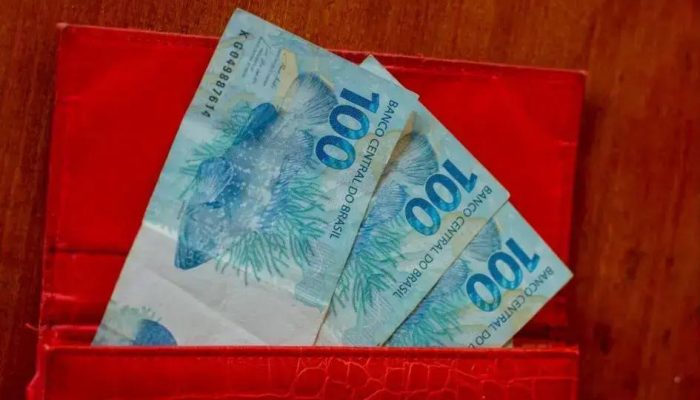 Tudo sobre o auxílio-inclusão: Benefício para pessoas com deficiência