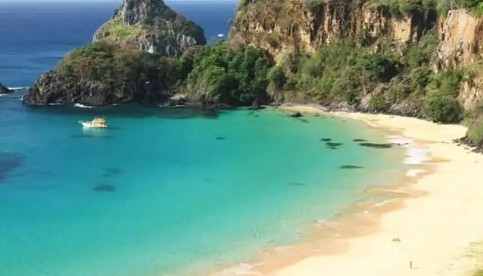 Turista de São Paulo é mordida por tubarão enquanto mergulhava em Noronha