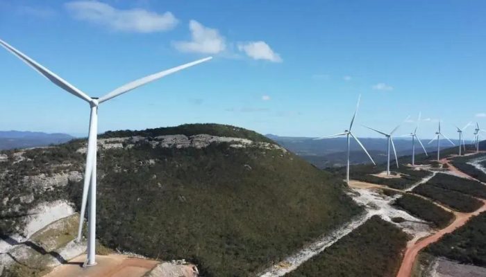 Uma em cada três pessoas na Bahia está nos setores verdes e sustentáveis