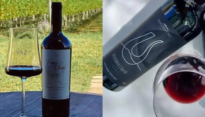Vinhos de Morro do Chapéu são medalhistas em premiação nacional de 2025