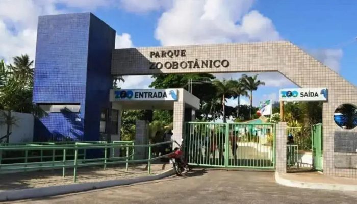 Zoológico de Salvador reabre após reformas com novas atrações